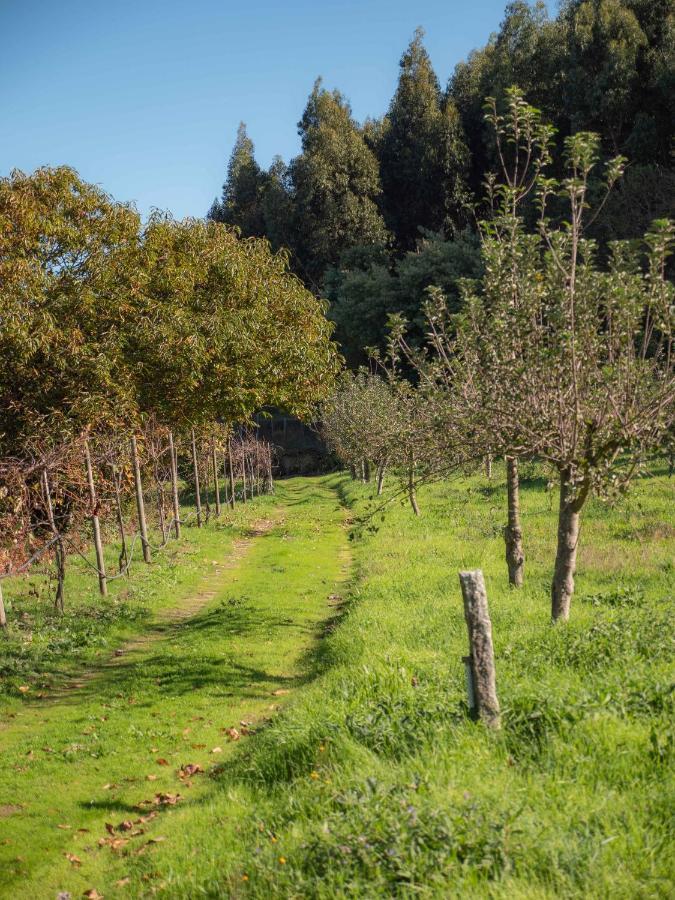 Naturena Agro-Turismo Durrães Εξωτερικό φωτογραφία